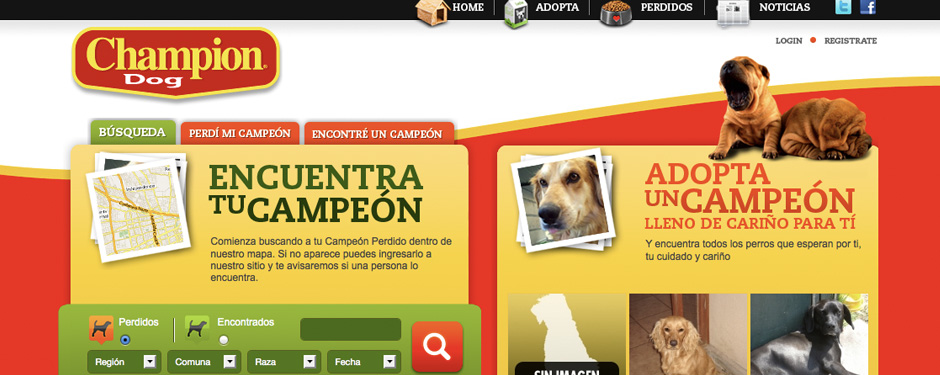 micampeon micampeon